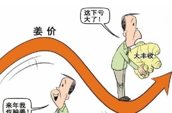 “姜你军”跌的最狠 是咋回事呢？