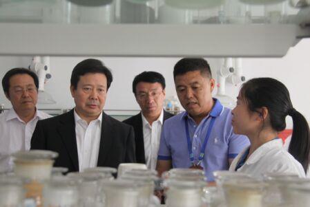 加大创新力度 运用互联网开拓市场 提升企业核心竞争力 ——山东省委常委、青岛市委书记李群莅临ug环球考察