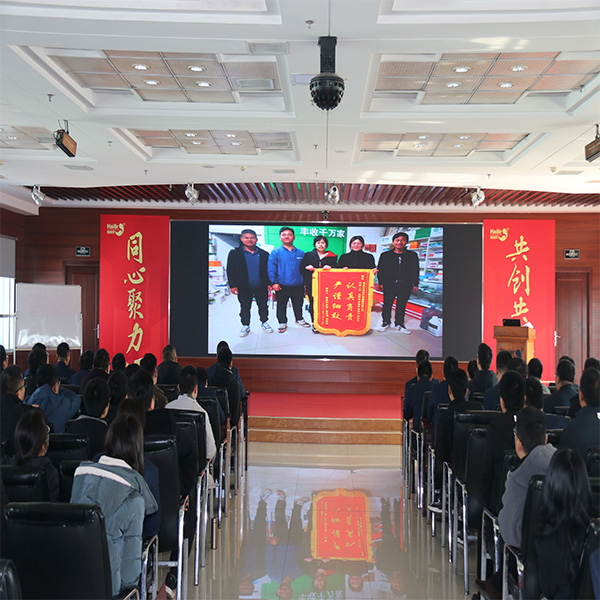 集团国内制剂经营质量分析会暨拌种总结大会圆满召开